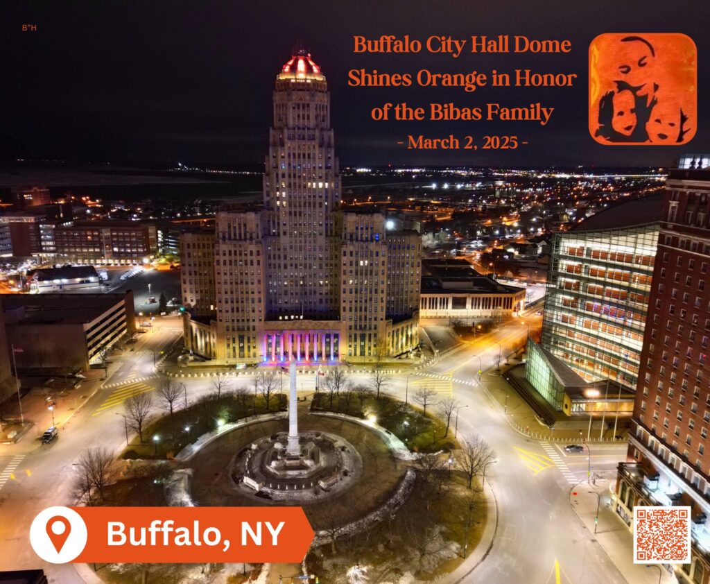 Buffalo City Hall- Bibas